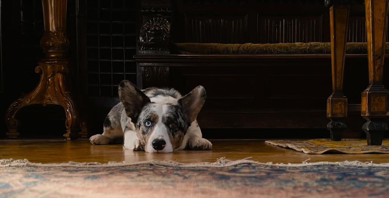 iphone相机3秒和10秒,iphone相机不为人知的秘密