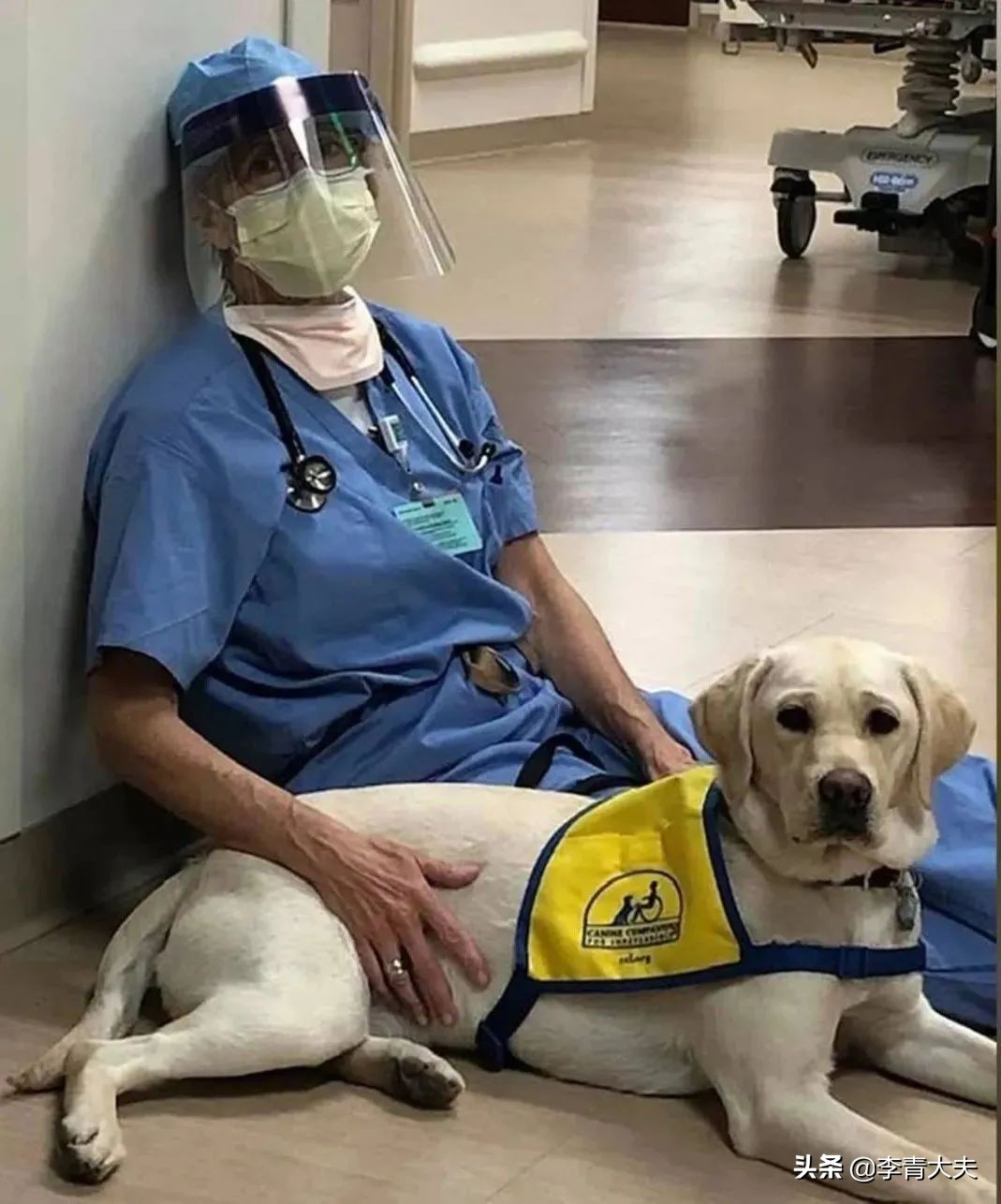 麦扣的家庭,麦扣的质感好物