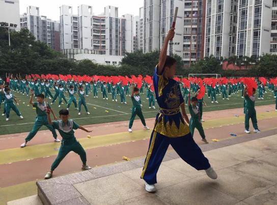 白云十大好学校,白云区成绩好的学校