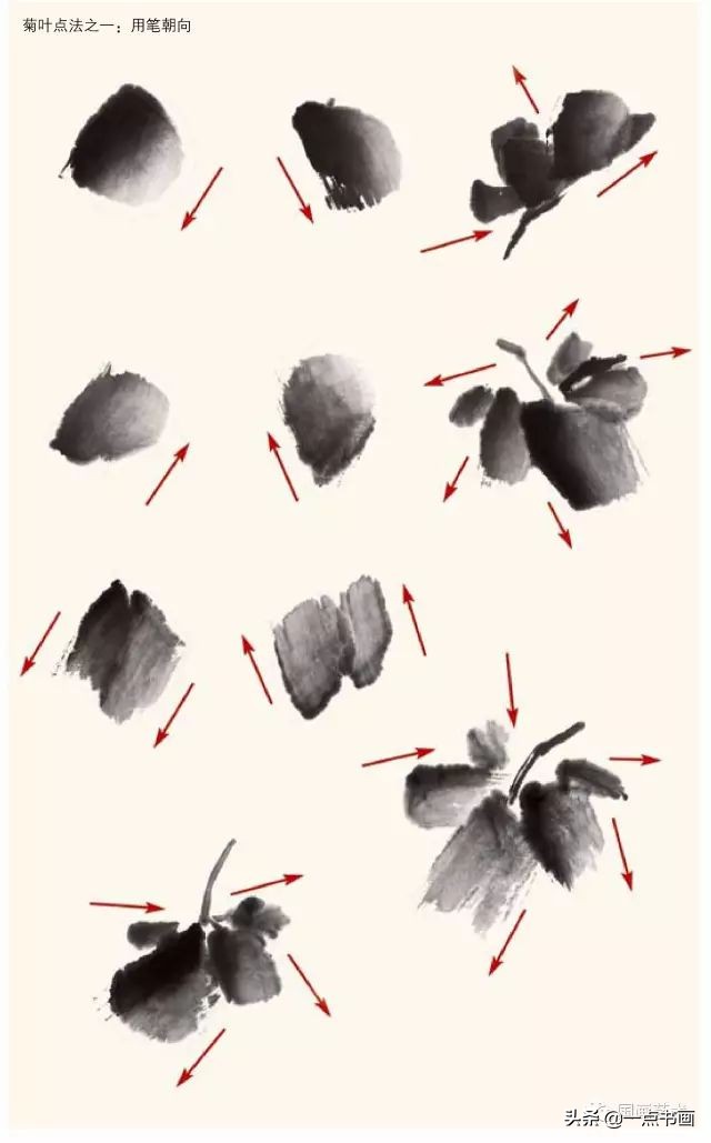 怎样画菊花国画,徐湛画菊花国画入门教程