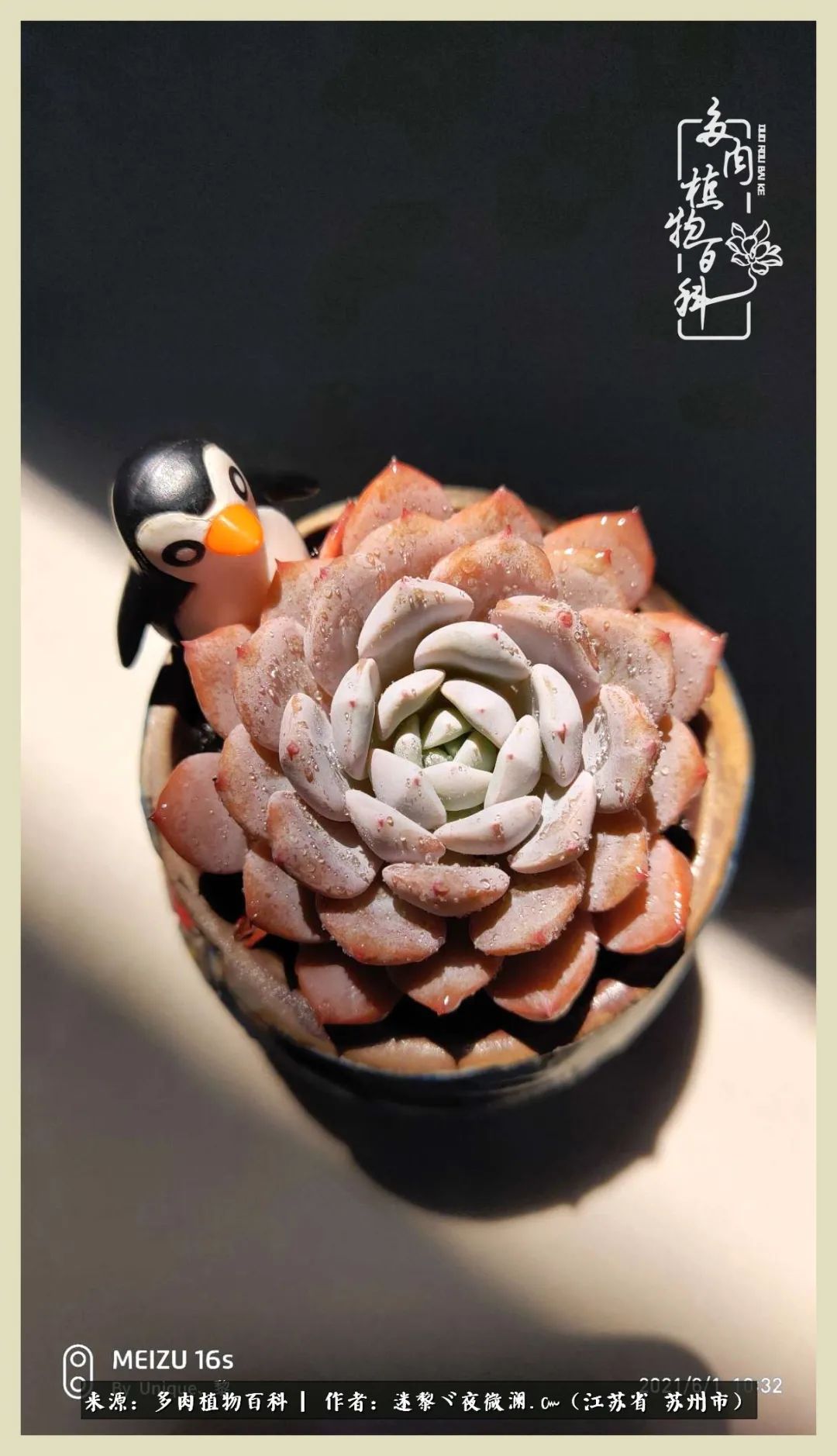 秋尽冬来岁月不居时节如流,岁月不居时节如流水