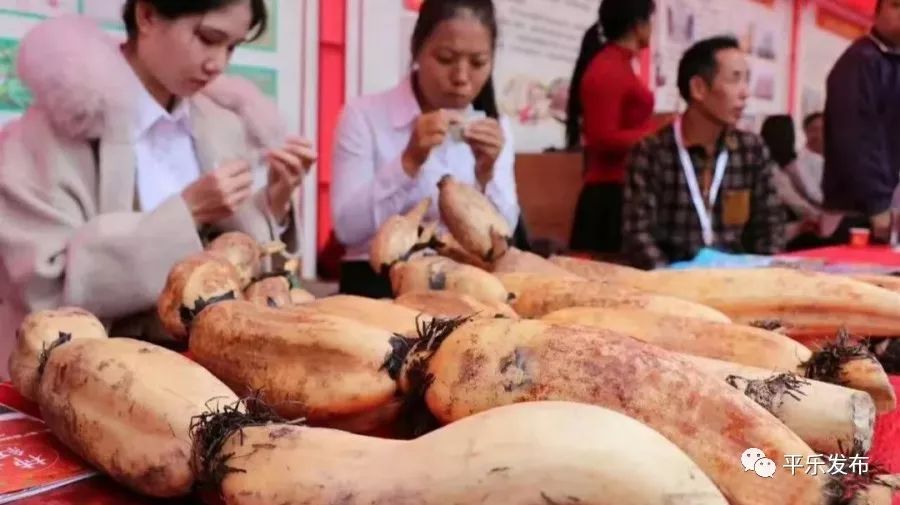 桂林平乐美食攻略,广西桂林平乐县特色美食