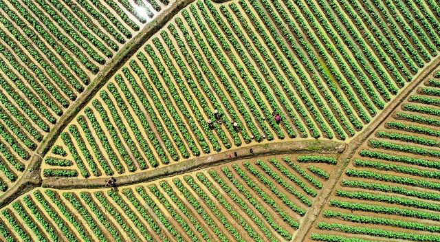 祁东三阳,一脚踏三省的古镇的地理位置