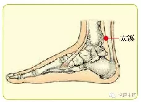 男言之隐介绍,男言之隐小说后续