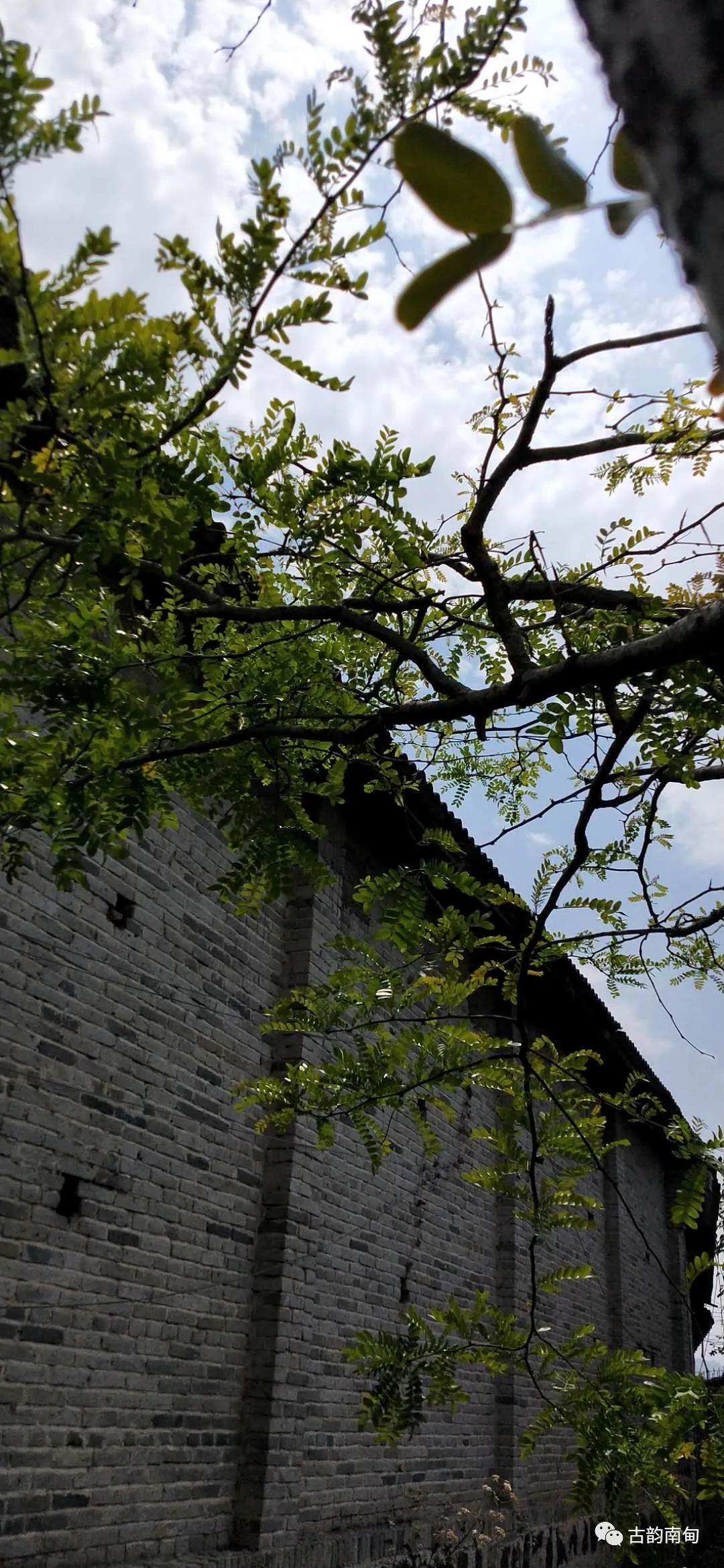 姊佹渤鐗硅壊缇庨鎺ㄨ崘,姊佹渤鐗硅壊缇庨