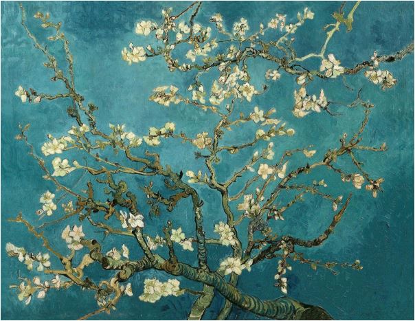 画画治病,绘画医生治病