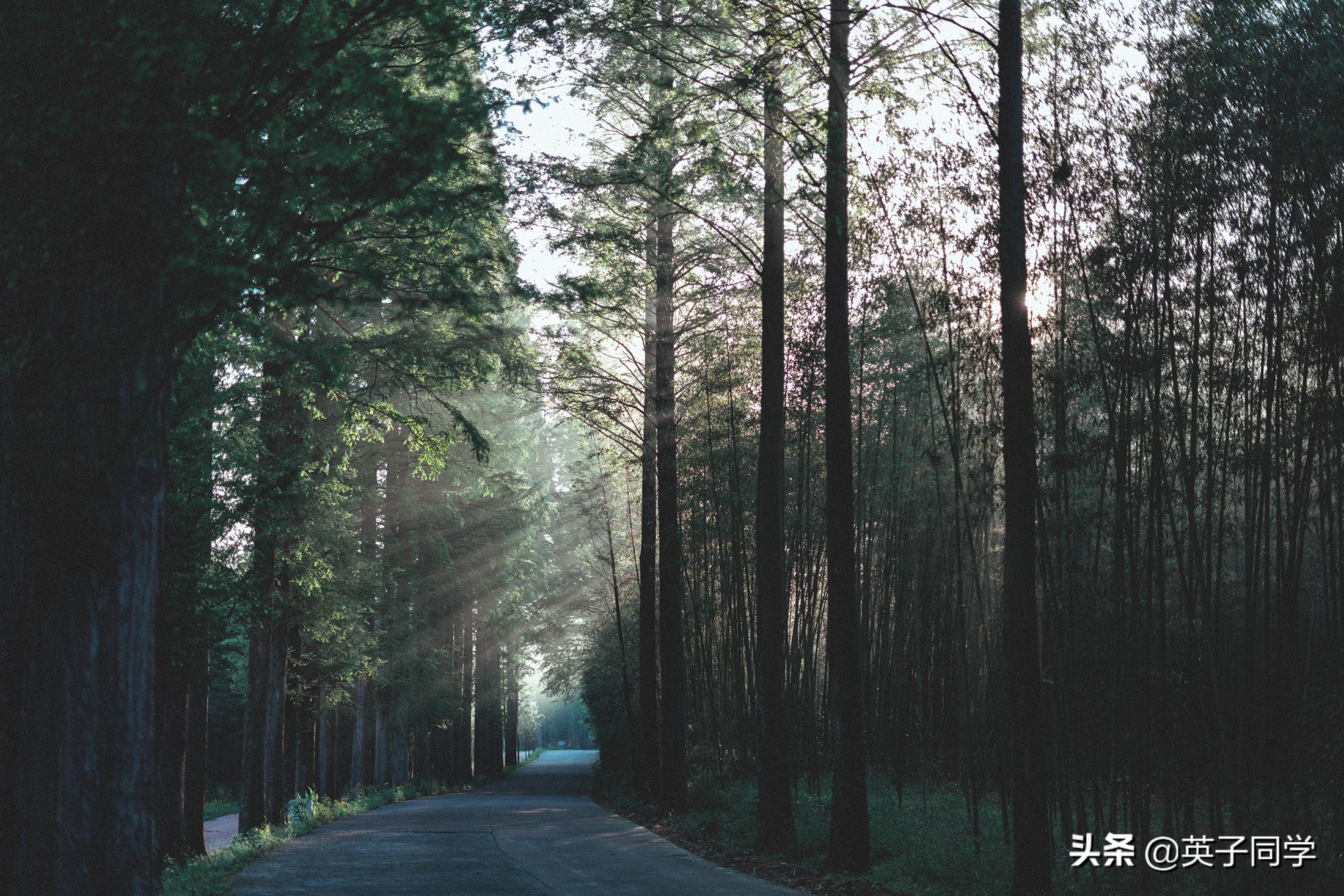 青春旅社拍摄地址,周冬雨民宿图片
