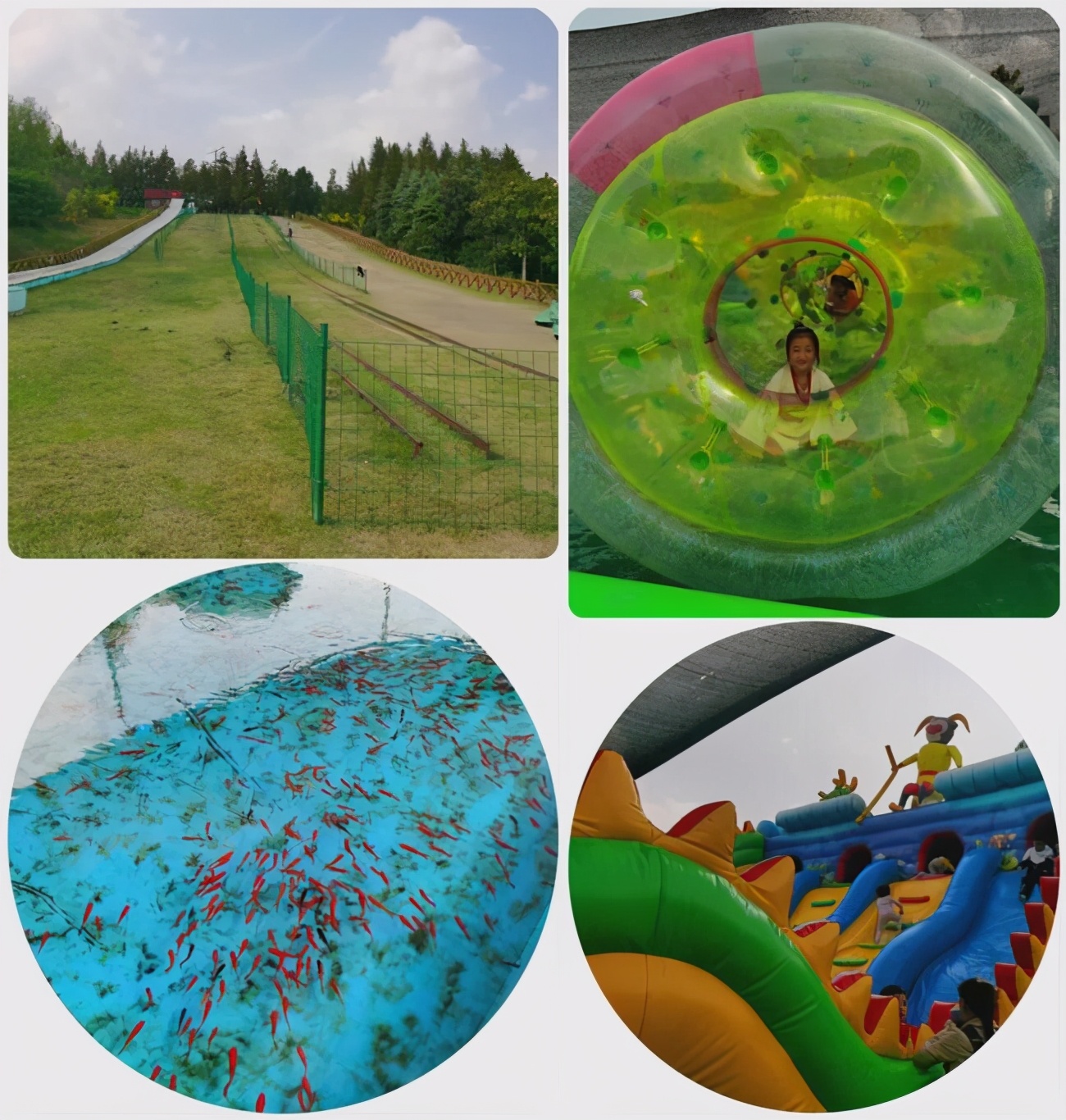 放飞的周末时光,放飞自我的周末时光