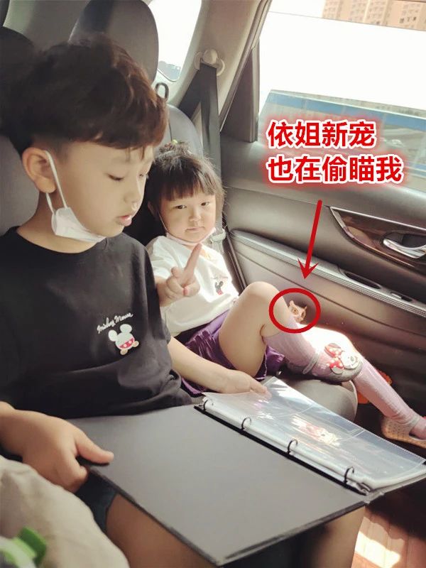 奥特曼卡片是雷霆还是黑钻版,奥特曼卡片到底要不要买呢