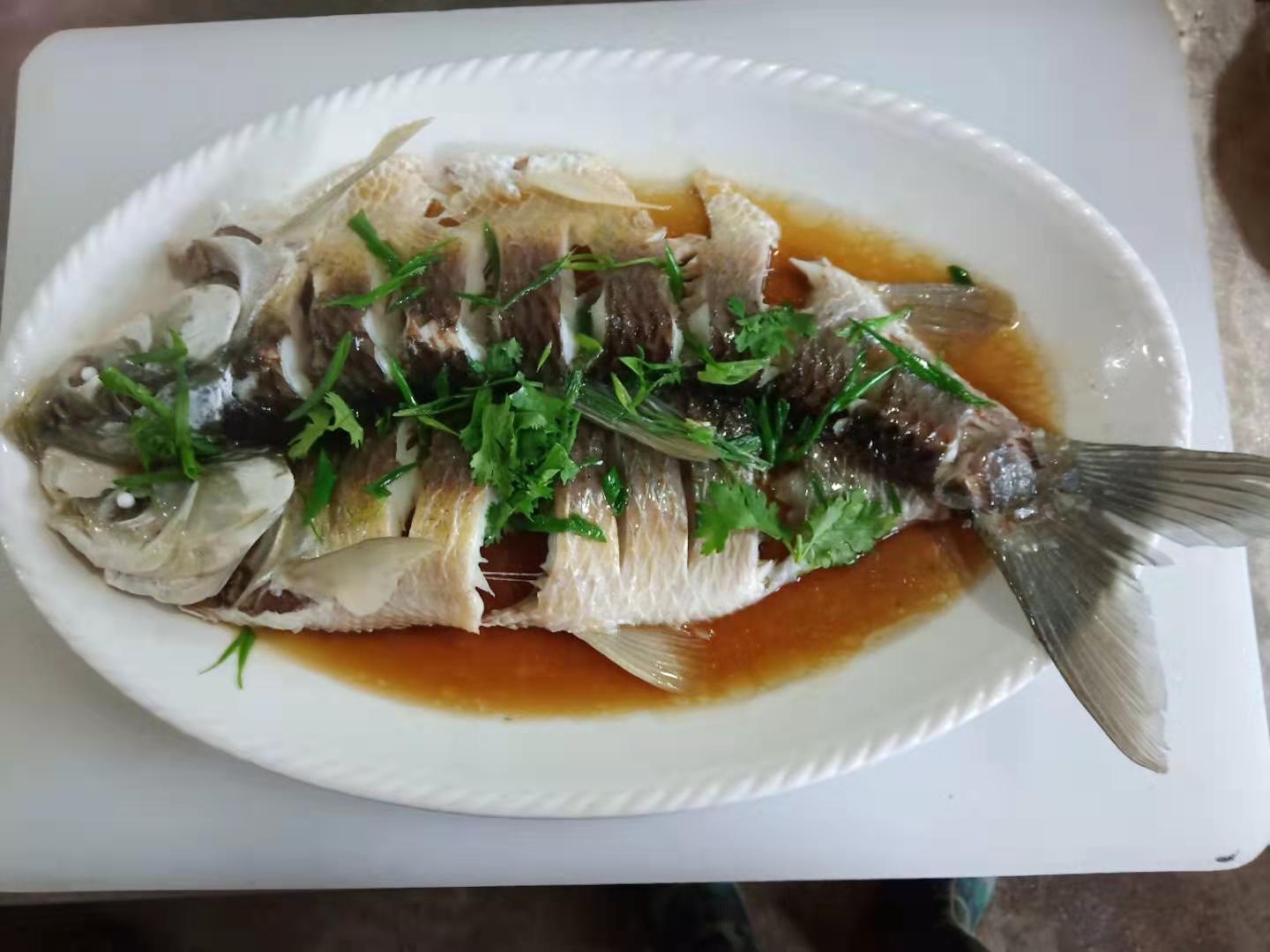 【建州风情】闽源人梨山麓的木樨,犀白鱼采风行！