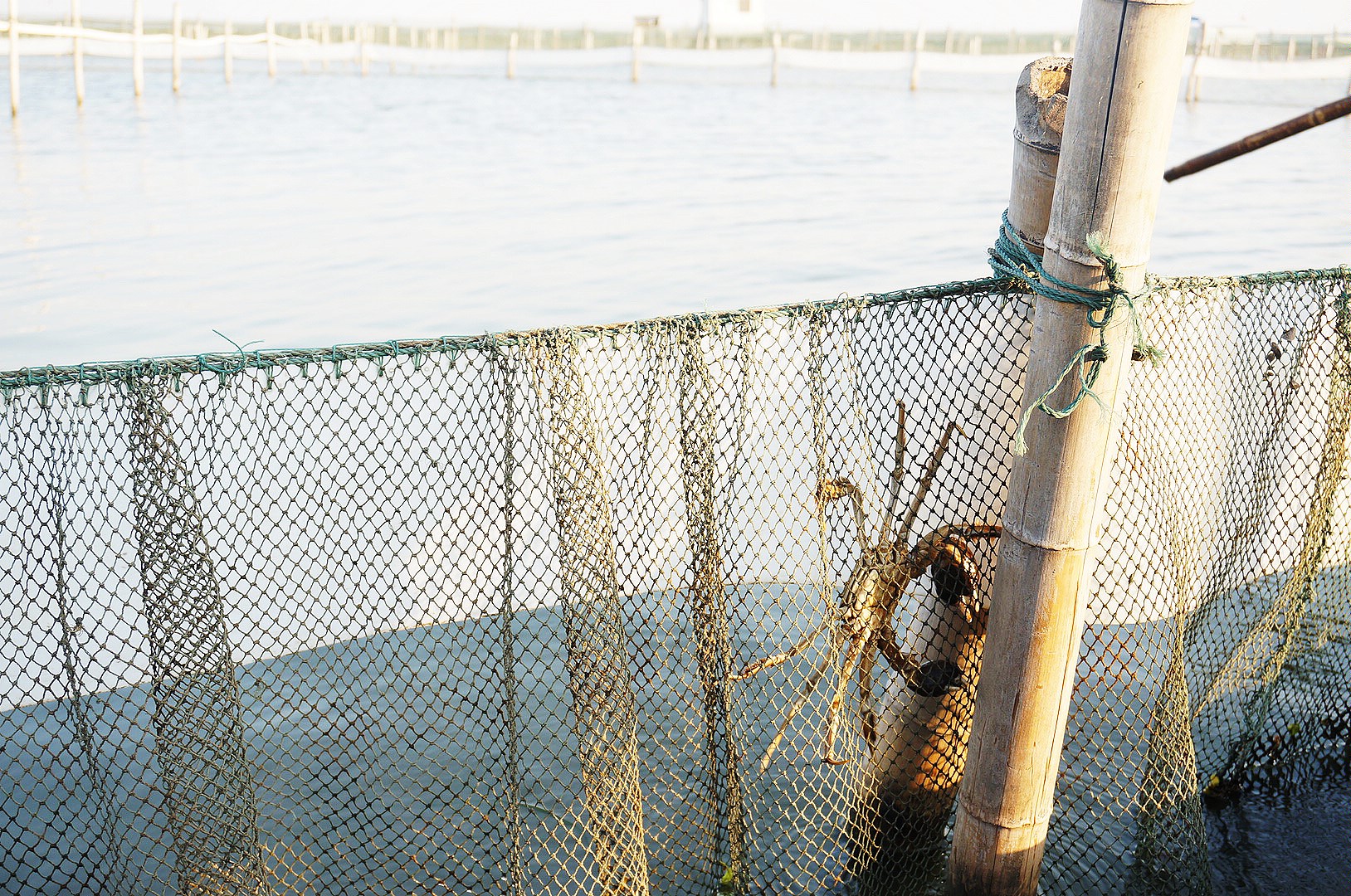 昆山出发二日游跟团游攻略,昆山吃大闸蟹一日游