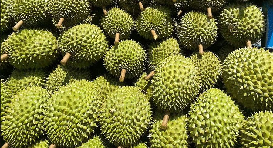 儿童画水果简笔画教程,儿童水彩笔画水果怎么画