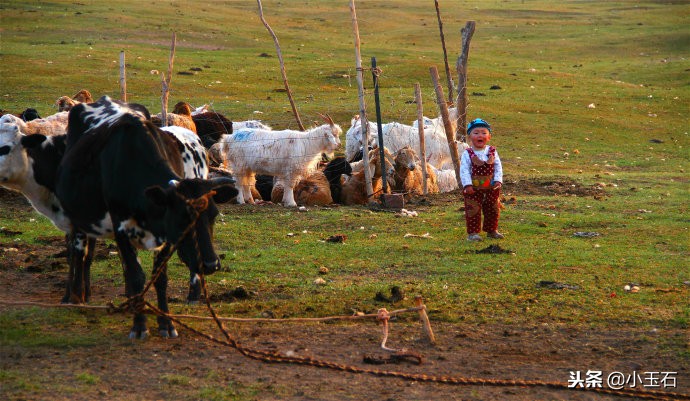 喀拉峻大草原近期实拍,探秘新疆