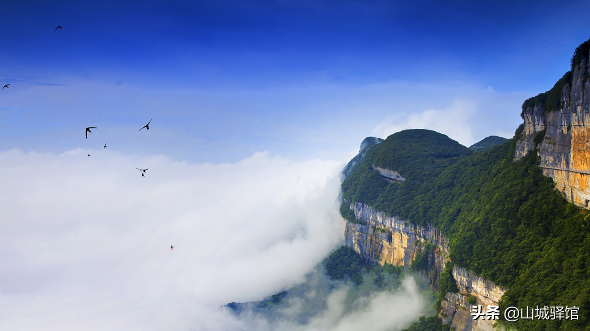 重庆南川沙滩峡谷露营,南川金佛山耍水露营地