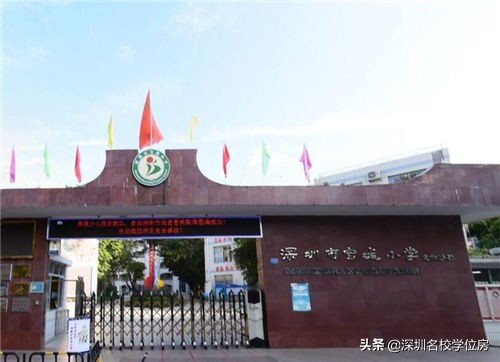 宝安小学排名一览表,弘雅小学在宝安的排名