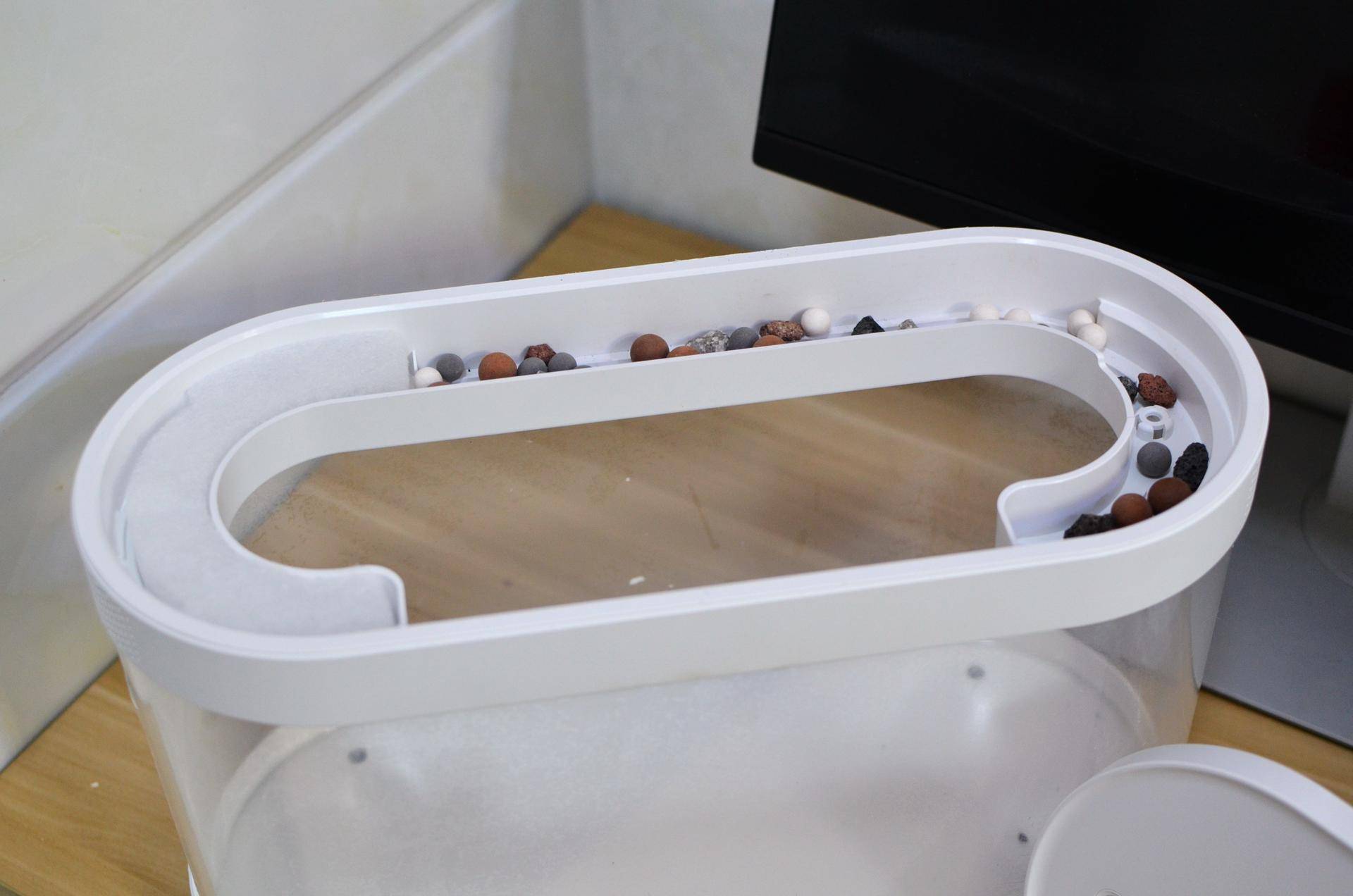 小米生态鱼缸养巴卡雷龙,小米生态缸养鱼入门基础教程