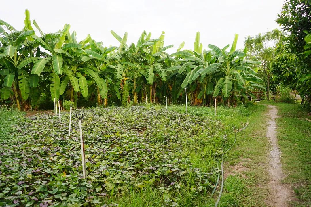 人气最旺的亲子农场,世外桃源亲子农场探店