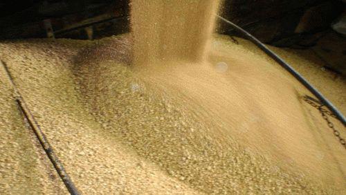 豆粕期货保证金的计算公式,豆粕期货保证金14%高吗