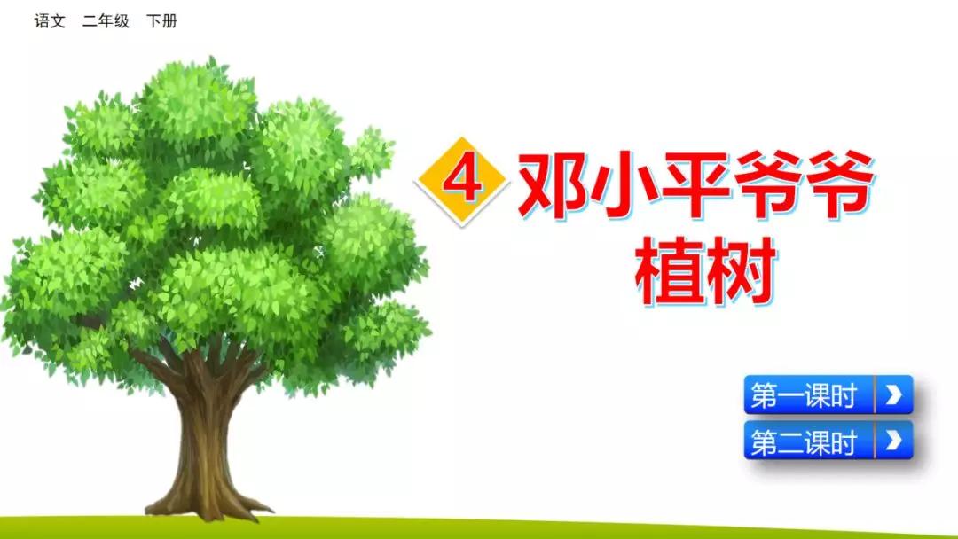 部编版二年级下册语文第4课《*小平邓**爷爷植树》知识点+图文讲解