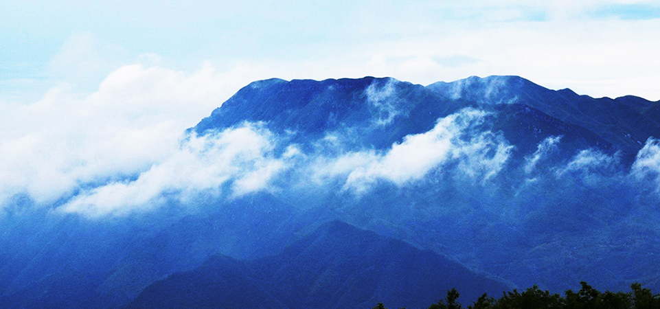 传统刺绣绣花,八大传统刺绣