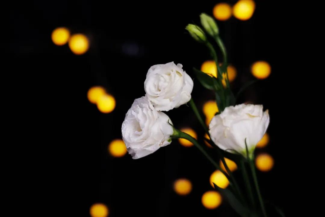 七工匠25f1.8大光圈,七工匠f0.95镜头多大光圈画质最好