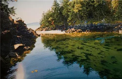 水浑浊怎么画,水怎么才能画出透明感