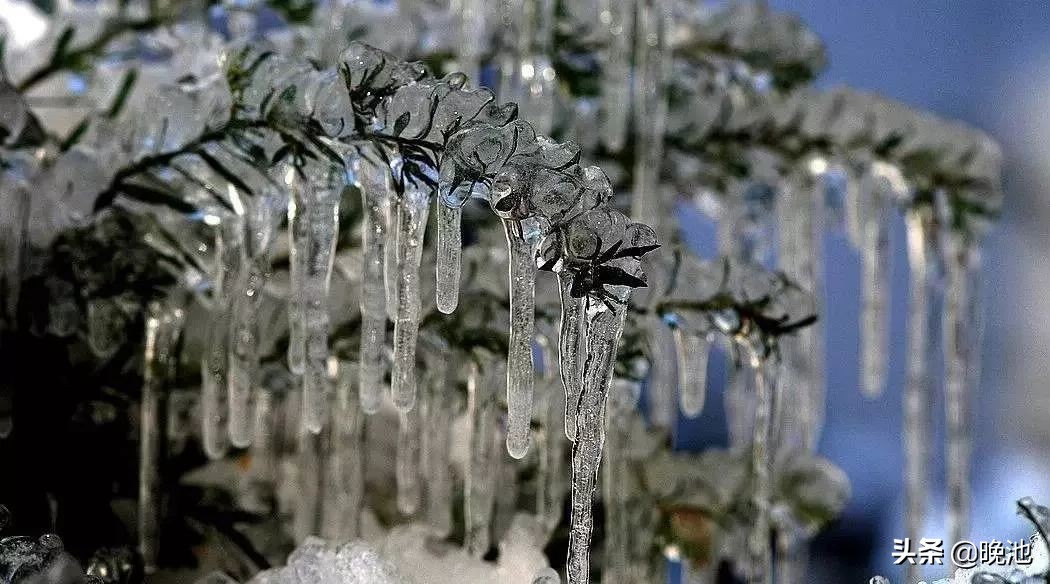 瓒崇悆閲囪鎴愰兘,瓒崇悆閲囪璁板綍