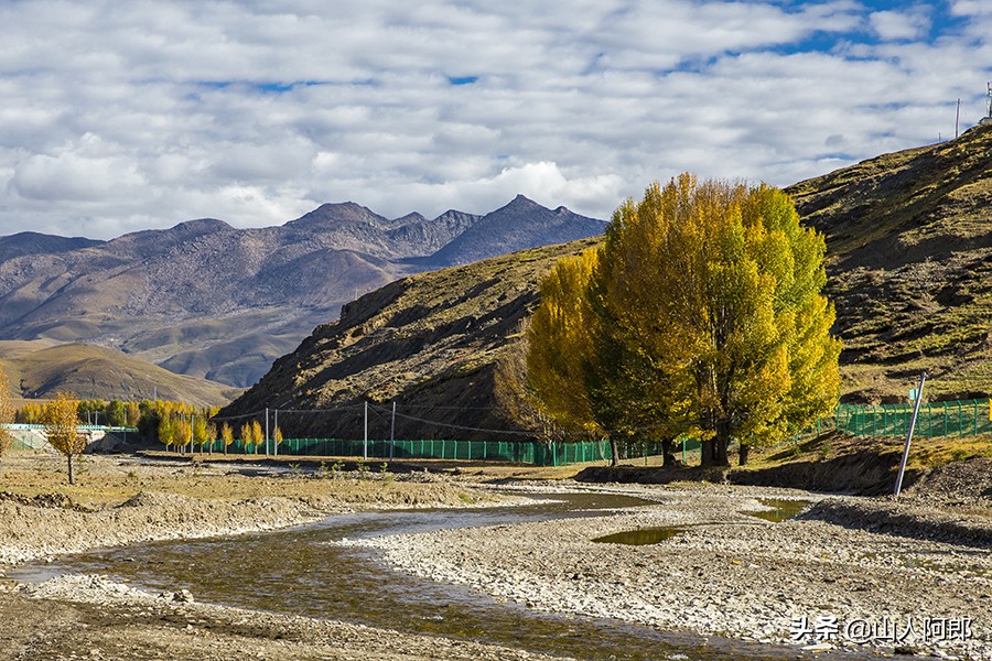 宸濊タ楂樺師澶ц崏鍘熺殑璺笂鐓х墖,闈掕棌楂樺師涓婄殑鑽夊師闆北椋庢櫙