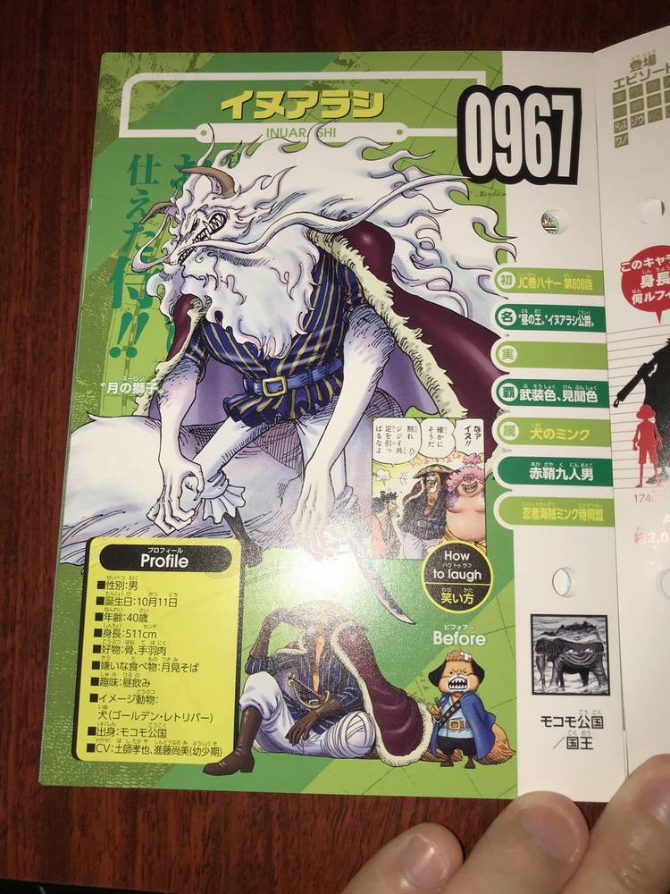 海贼王生命卡完整排名,海贼王生命卡信息