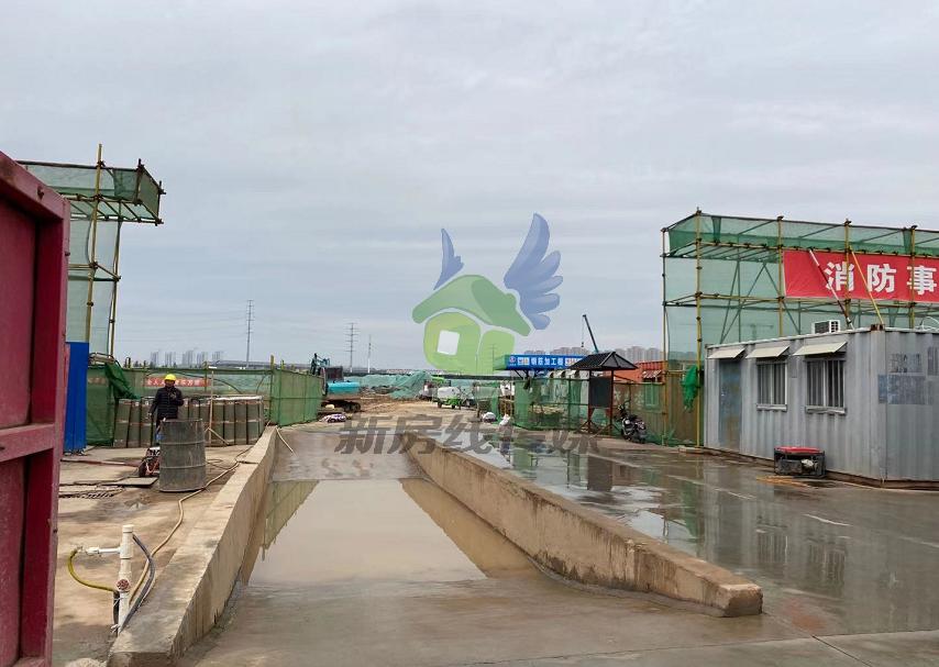 龟山板块,龟山板块发展