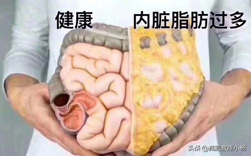 肚子赘肉怎么减掉视频,肚子赘肉怎么减最快变成小蛮腰