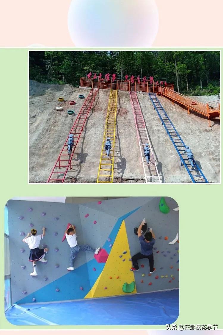 赣县稀金二小入学要求,赣县区稀金第二小学学费