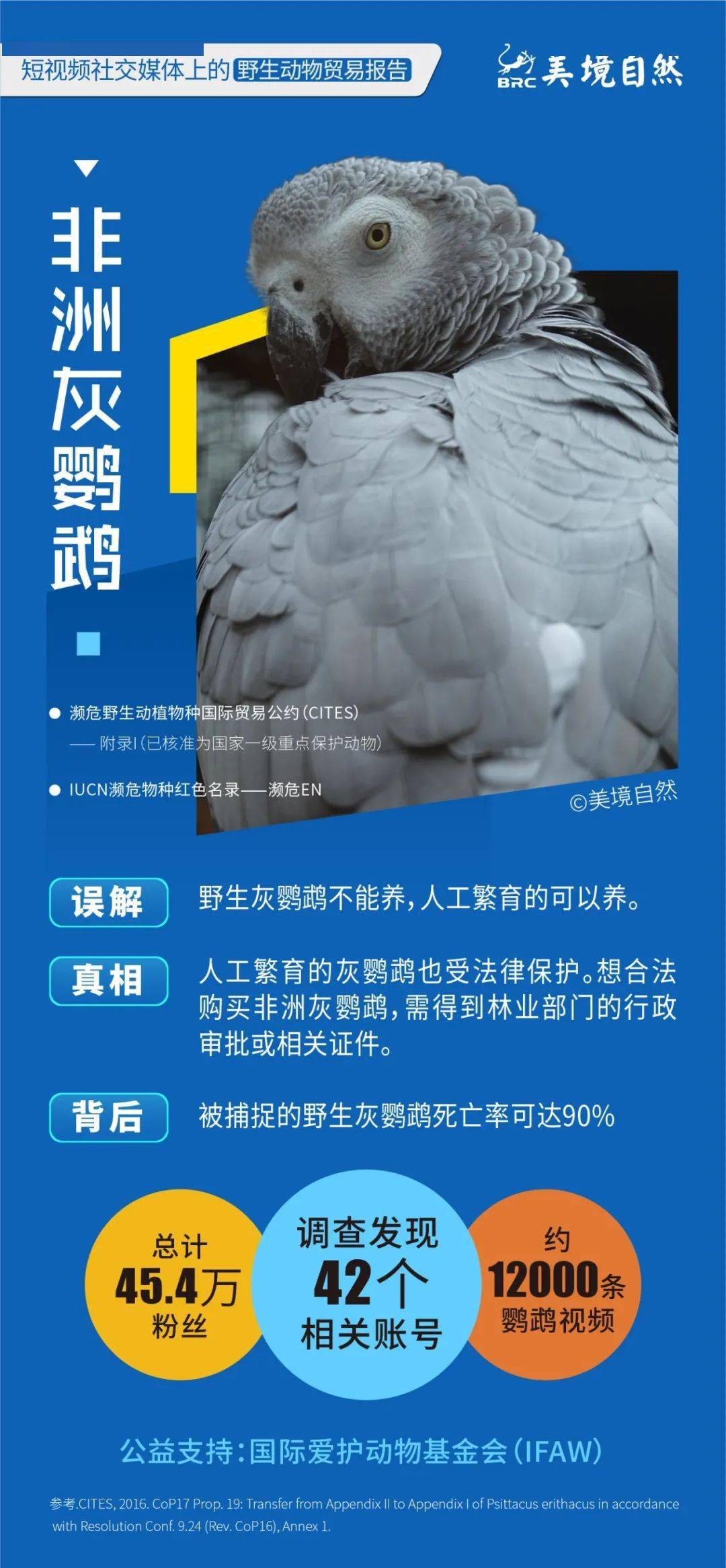 短视频以及电商生态研究报告,短视频与直播电商行业调研报告