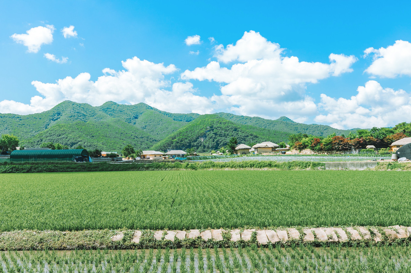 庆北三日，解锁你不知道的文化Korea