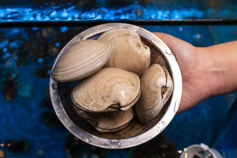 长沙东方船说海鲜自助餐厅自助餐89.9元/1大1小，让你吃到扶墙走