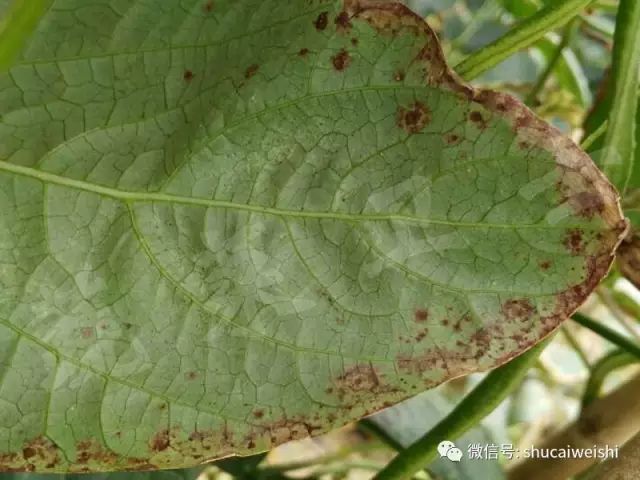 天气转凉如何预防,天气转凉吃什么药预防