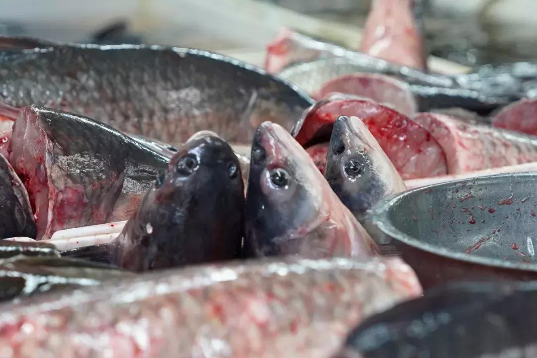 年味|带上小拖车跟我走!这里买年货实惠好吃