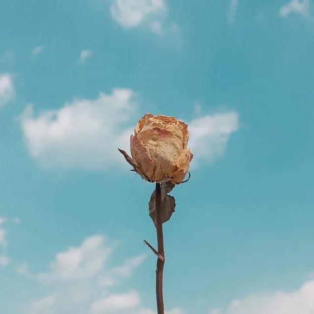 民国女孩名字,民国时期的女孩名字