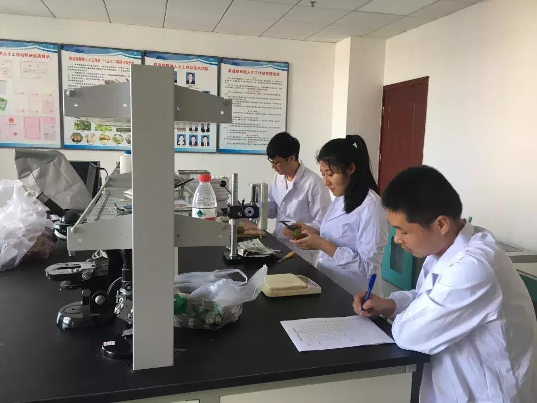 猕猴桃几月份成熟眉县,眉县猕猴桃采摘日期