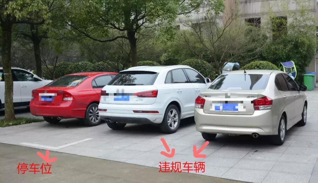 校园新增“神器”提醒您：行车不规范，进校两行泪！｜美丽浙师