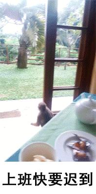 不想上班表情包