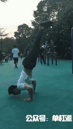 自由倒立撑训练方法,初学者如何掌握倒立撑