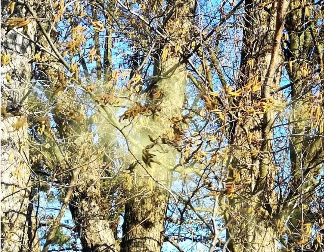 过敏了怎么才能治好,过敏了怎么办