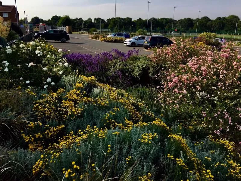 去英国留学生病了如何就医,英国留学孩子生病了怎么办