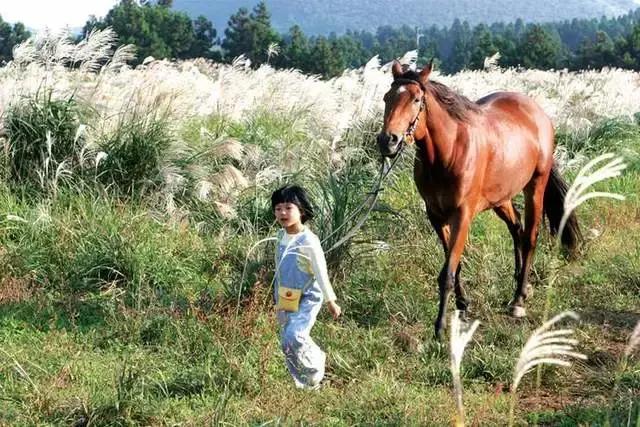 无马不自由！22部“有马”的电影，请盘住