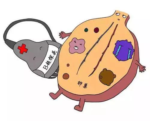 卵泡监测，到底有多重要？