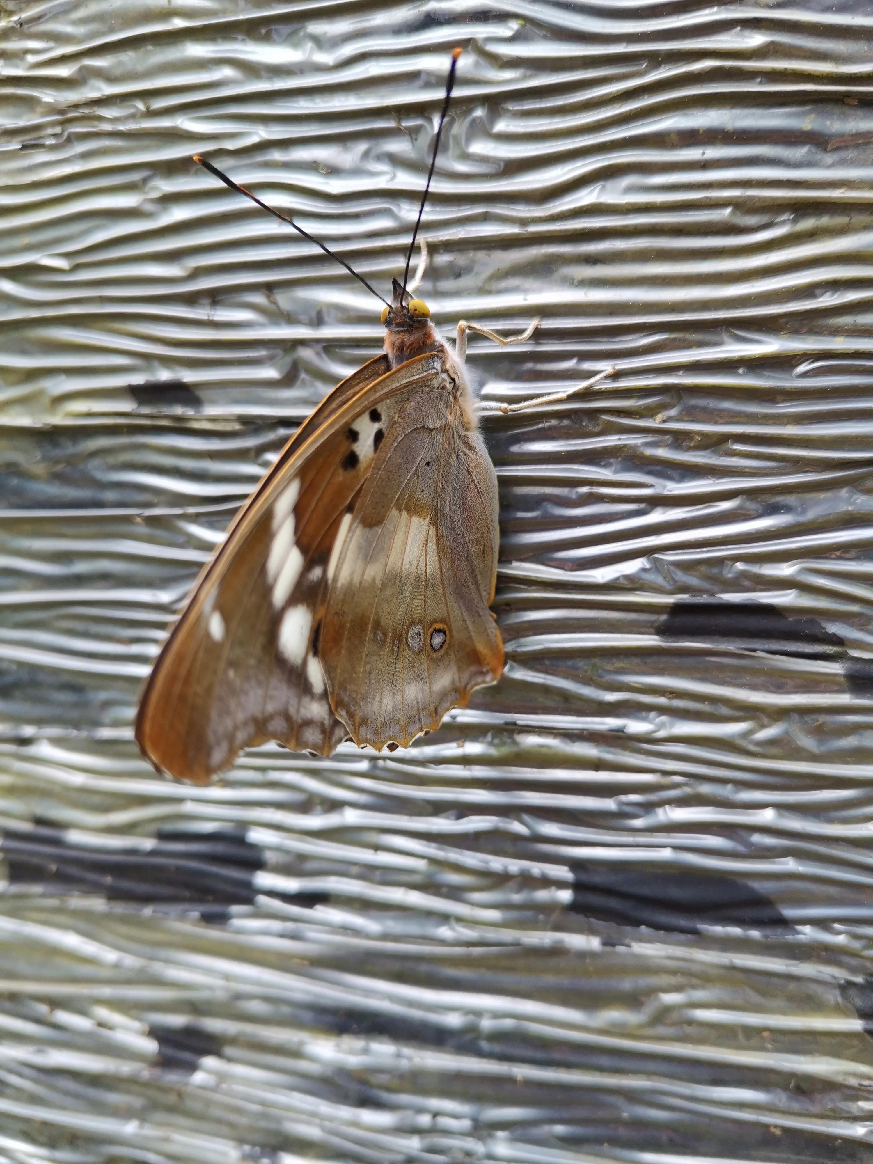 销售团队会议怎么开,销售团队会议