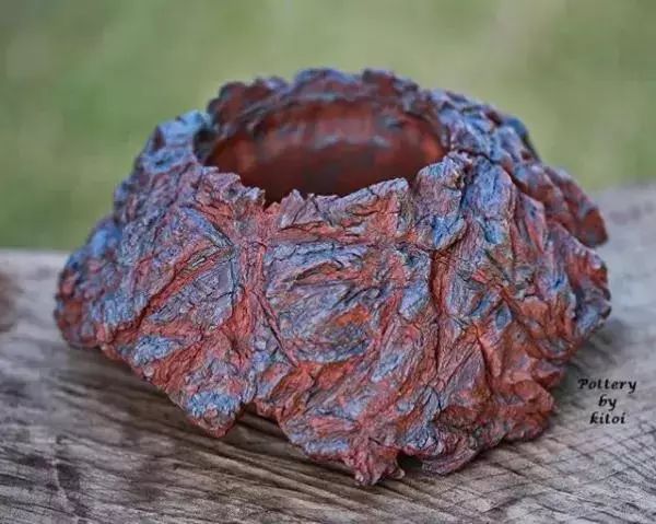 大叔养多肉20年，一片叶子上万块，盆盆都快成精了！