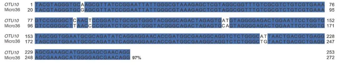 哪些菌可以在肠道定植,活菌在人体中可以存活吗