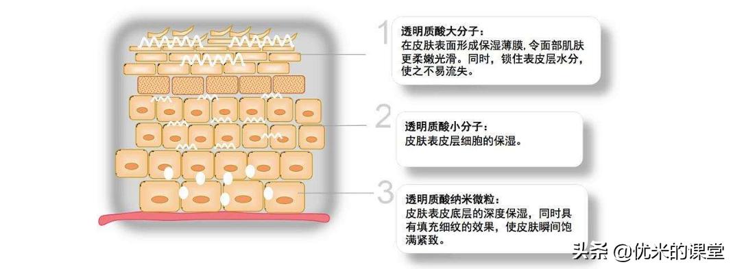 吹爆全网的护肤成分，如小核菌胶、透明质酸，可能只是一个增稠剂